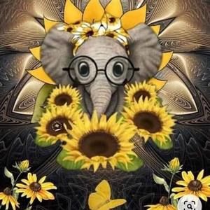 Meet your Posher, Sherry